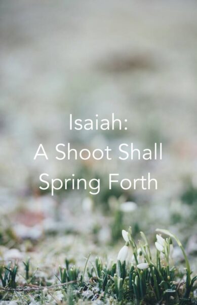 annie spratt L0QJ9y1aIx8 unsplash